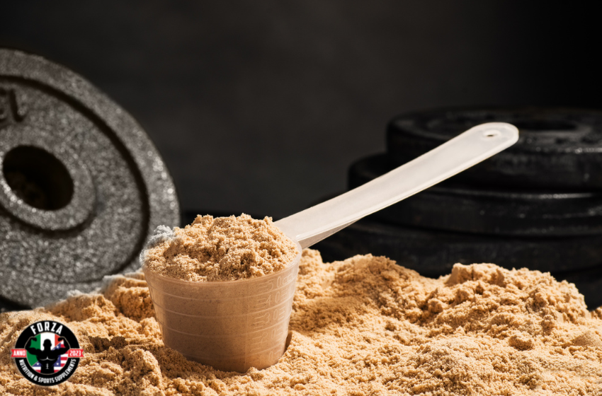 benefits of carbs and protein for exercise recovery